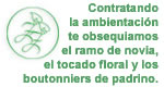 Randazzo - Flores y Arte